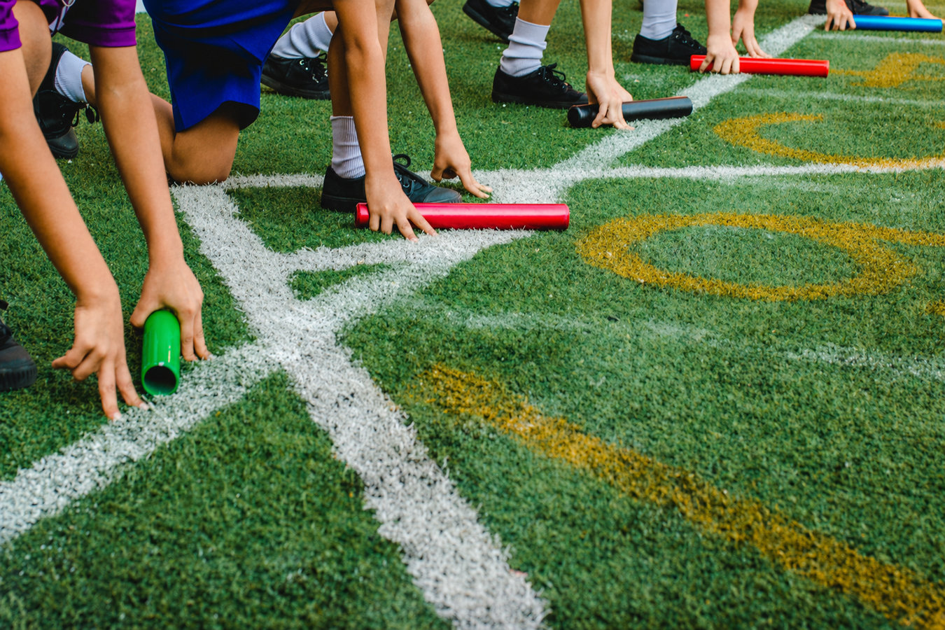 Sports turf supply