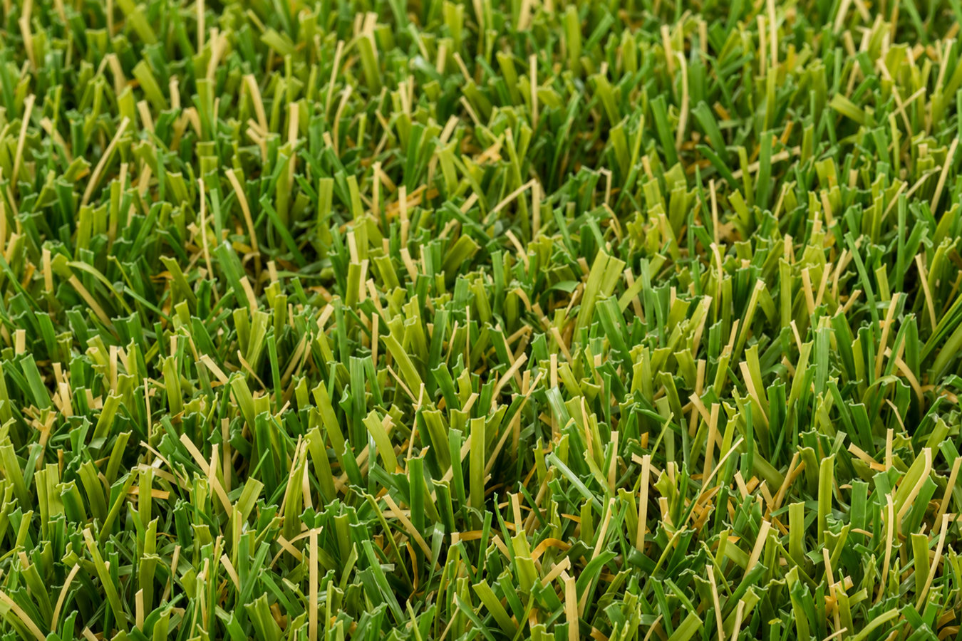 Synthetic Lawn Turf in Fairfield, CA
